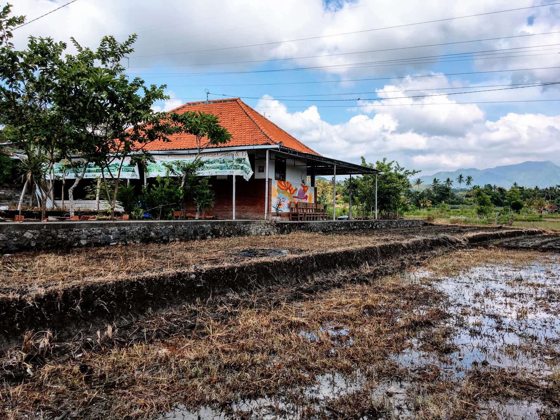 The completed PUSPADI Library and community pavilion at the edge of harvested rice fields in Bungaya, Bali