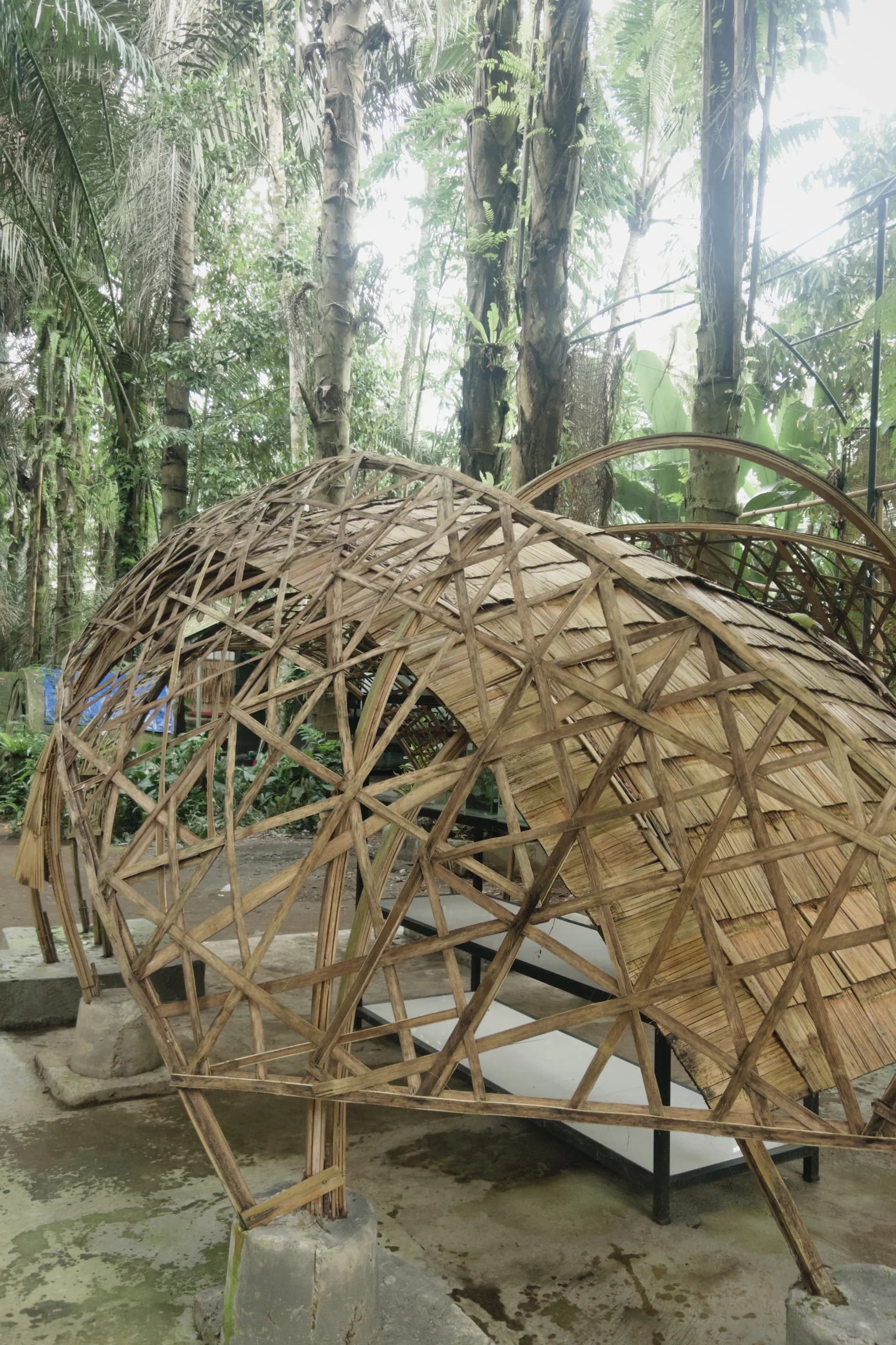 Bring Back the Light Firefly's Showroom in Taro Village, Bali, Indonesia, project image 2